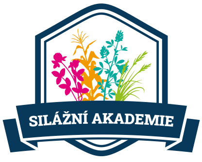 logo-sil-akademie.gif
