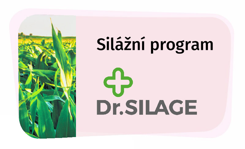 Dr.Silage