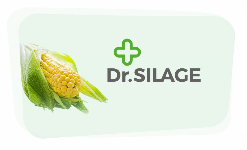 Dr.Silage