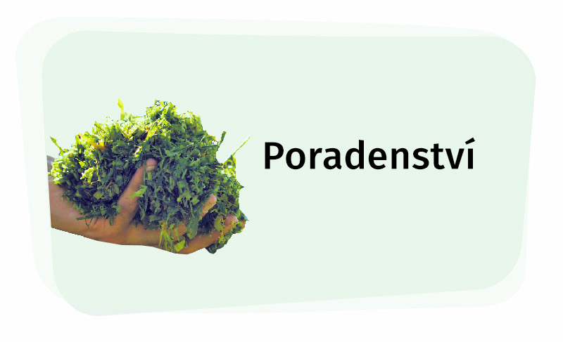 poradenstvi