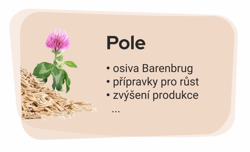 Pole