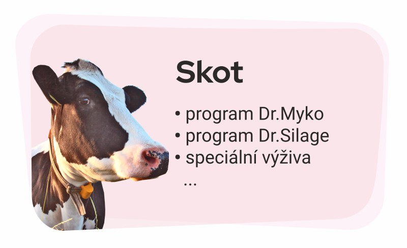 Skot